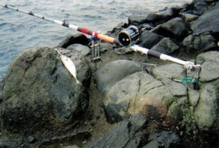 2007-08-01 00;04;4732.jpg 2007-08-01 00;04;4732.jpg